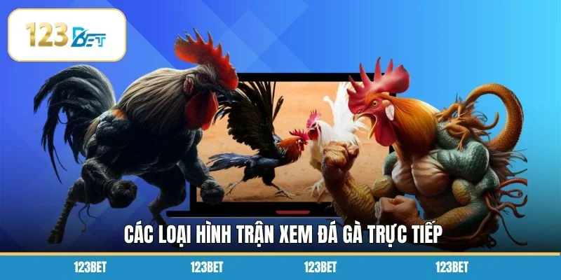 Các loại hình trận xem đá gà trực tiếp