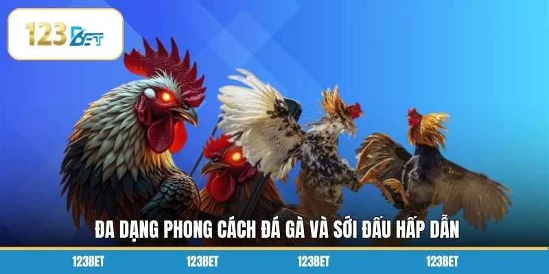 Đa dạng phong cách đá gà và sới đấu hấp dẫn