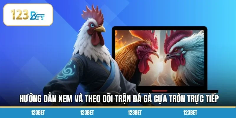 Hướng dẫn xem và theo dõi trận đá gà cựa tròn trực tiếp