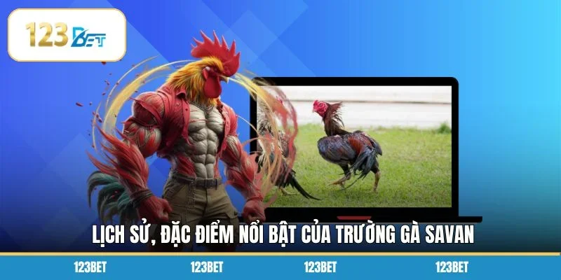 Lịch sử, đặc điểm nổi bật của trường gà savan