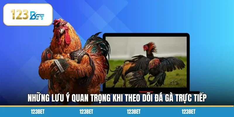 Những lưu ý quan trọng khi theo dõi đá gà trực tiếp