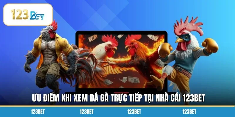 Ưu điểm khi xem đá gà trực tiếp tại Nhà cái 123BET