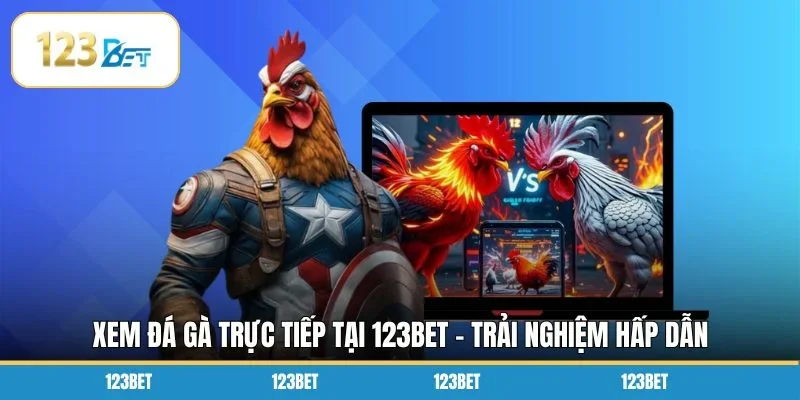 Xem Đá Gà Trực Tiếp